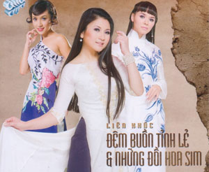 Album LK Đêm Buồn Tỉnh Lẻ – Những Đồi Hoa Sim Album LK Đêm Buồn Tỉnh Lẻ – Những Đồi Hoa Sim